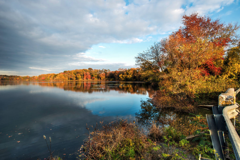 Cohansey River in the Fall